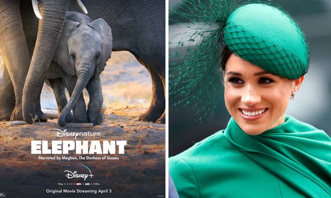 Após deixar a realeza, Meghan Markle é a nova contratada da Disney