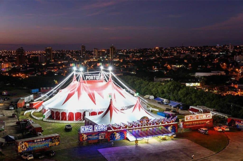 O Circo Portugal Internacional se apresenta hoje a partir das 19h em live espetacular