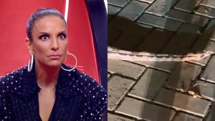 Casa de Ivete Sangalo é invadida por cobra gigante e cantora grava o momento do ataque: "Caio dura no chão"