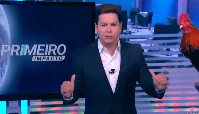 Marcão do Povo, criticado pelo público, tem volta ao Primeiro Impacto do SBT confirmada