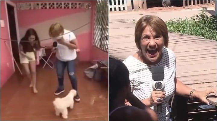 Repórter da Record leva susto com cachorro, aparece aos berros ao vivo e reação viraliza; veja