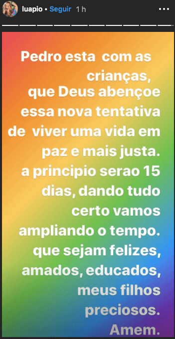 A famosa apresentadora e ex-atriz da Globo, Luana Piovani surpreendeu ao revelar que após tanta polêmicas, ela e Pedro Scooby estavam tentando novamente se reconciliar (Foto: Reprodução/Instagram)