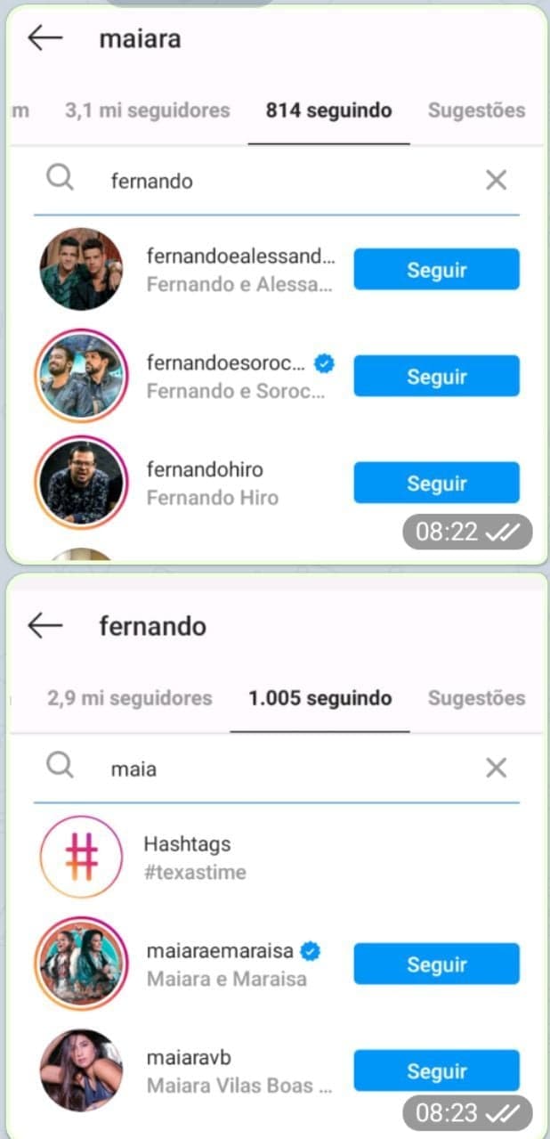 Maiara e Fernando deixaram de se seguir no Instagram (Foto: Reprodução/ Instagram)