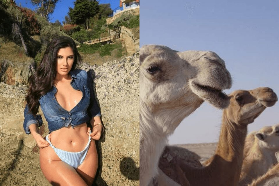 Modelo recebe proposta de casamento em troca de 200 camelos, rebate e dispara: "Não estou à venda"