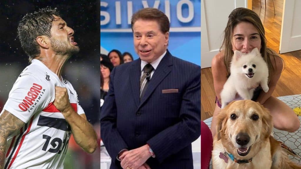 Pato faz anúncio após ganhar programa de Silvio Santos e emissora de Rebeca determina: "Embaixador"