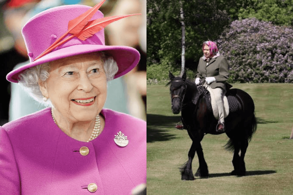 Rainha Elizabeth II, amante de montaria, troca cavalos por pôneis aos 94 anos: "ficar mais perto do chão"