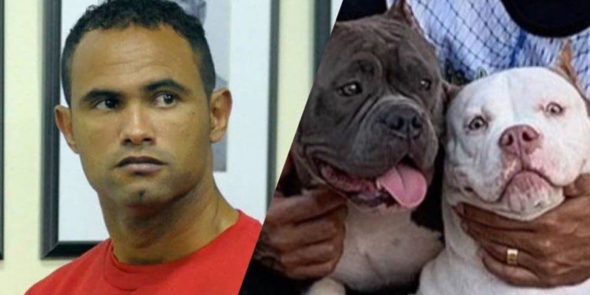 Em 2013, Goleiro Bruno foi condenado pela morte de Eliza Samudio. (Montagem: TV Foco)