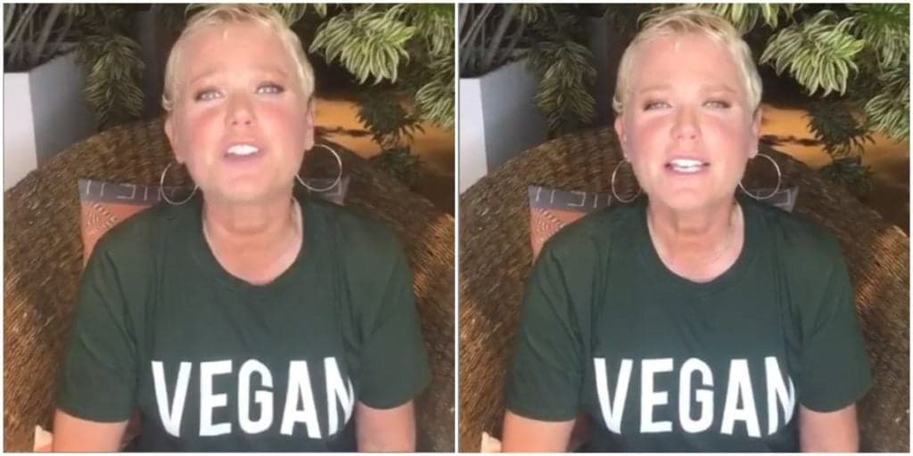 Após se firmar em volta à Globo, Xuxa divulga atração e esquece Record depois de briga interna: "Vai passar"
