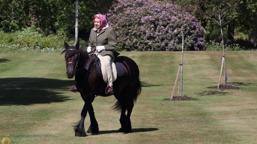 Amante de montaria, Elizabeth II troca cavalos por pônei (Foto: Reprodução) Amante de montaria, Elizabeth II troca cavalos por pônei (Foto: Reprodução)