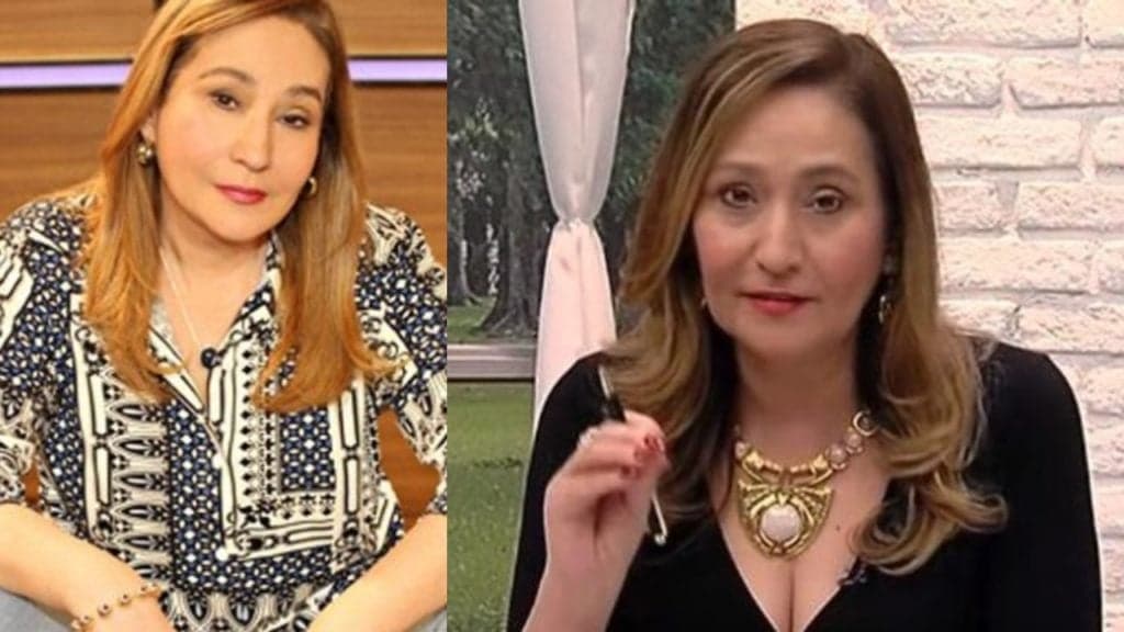 Sonia Abrão divulga vídeo tomada de amor após fazer mistério sobre namoro secreto e identidade chocante: "Não dá"