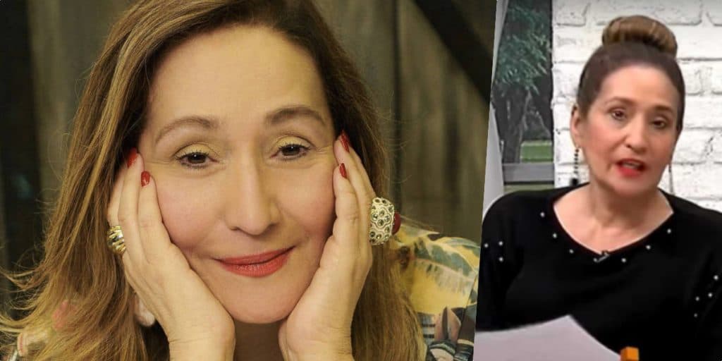 Sonia Abrão vem à público fazer anúncio avassalador sobre seu novo canal: "Hoje é o dia do lançamento"