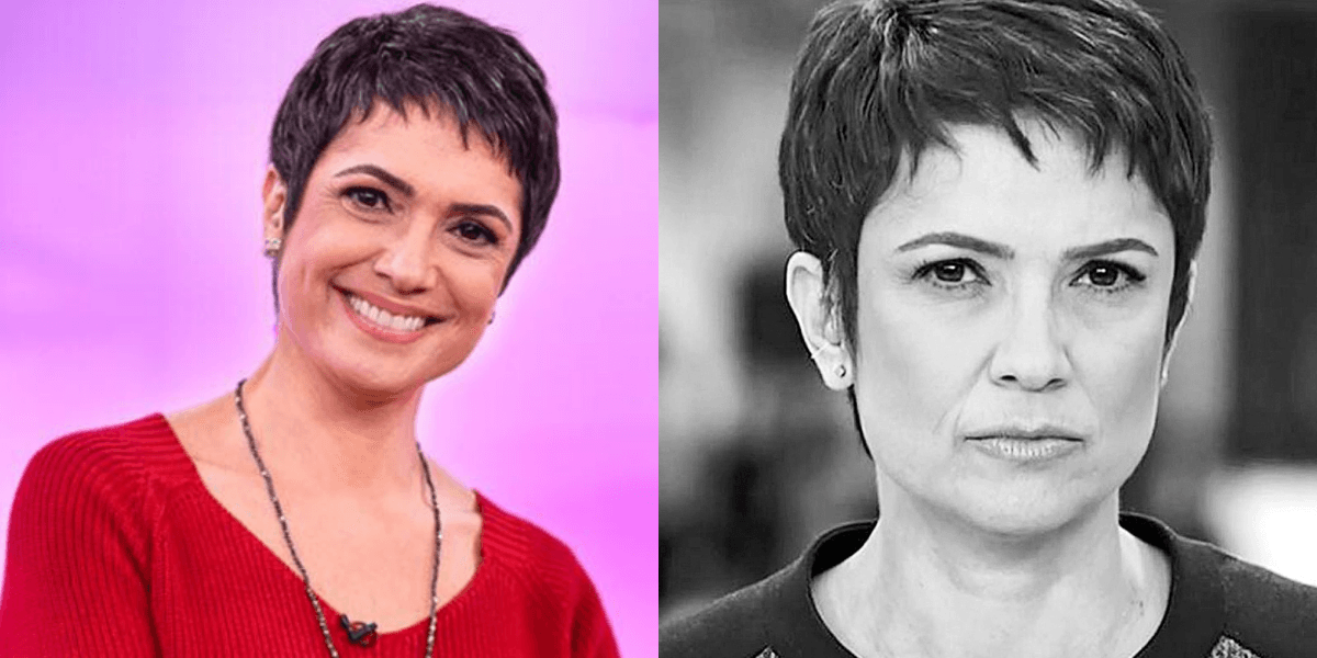 Sandra Annenberg (Foto: Montagem)