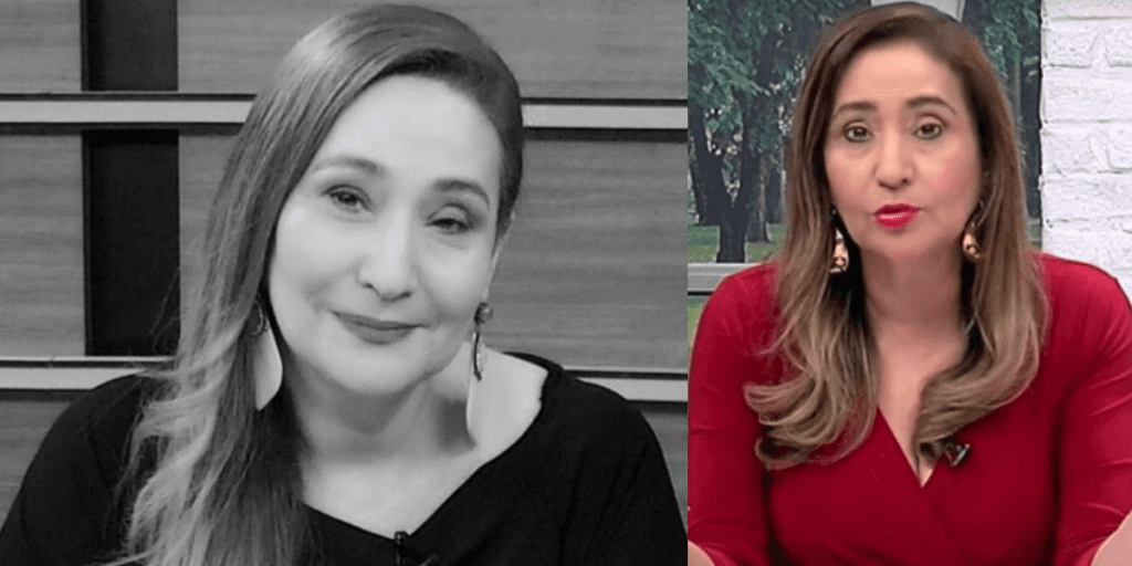 Após 14 anos na RedeTV, Sonia Abrão vê seu programa ser desmontado e fim de uma era é anunciado em vídeo: "Adeus"