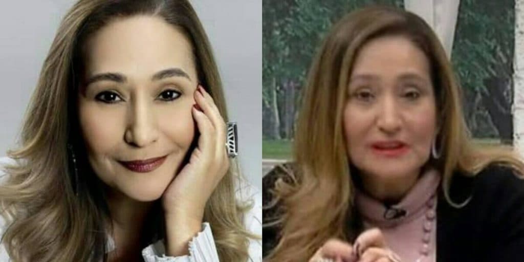 Sonia Abrão, após recado público na lata de Zeca Camargo, faz anúncio bombástico de novo canal: "Avisar já"