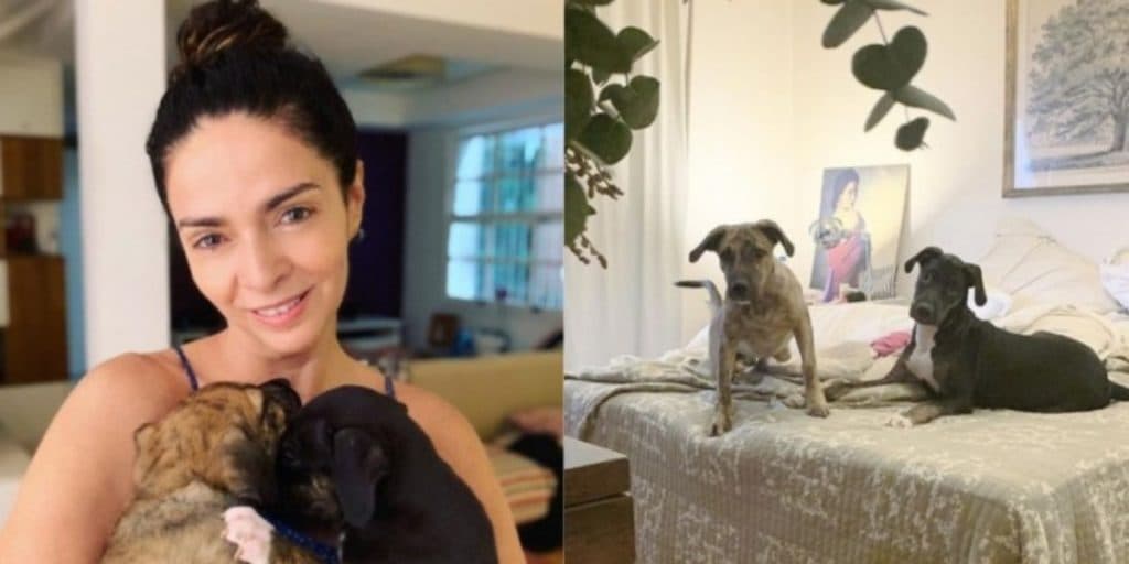 Claudia Ohana se pronuncia sobre polêmica com cães e faz longo desabafo após duros ataques: "Difícil"