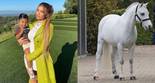 Kylie Jenner ostenta, mostra amor pela filha e compra pônei de R$ 1 milhão para a pequena: "o mais famoso"