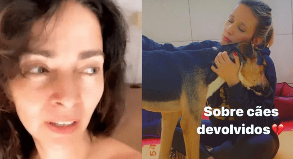 Luisa Mell detona Claudia Ohana e manda recado alarmante para atriz em desabafo: "Tenha responsabilidade"