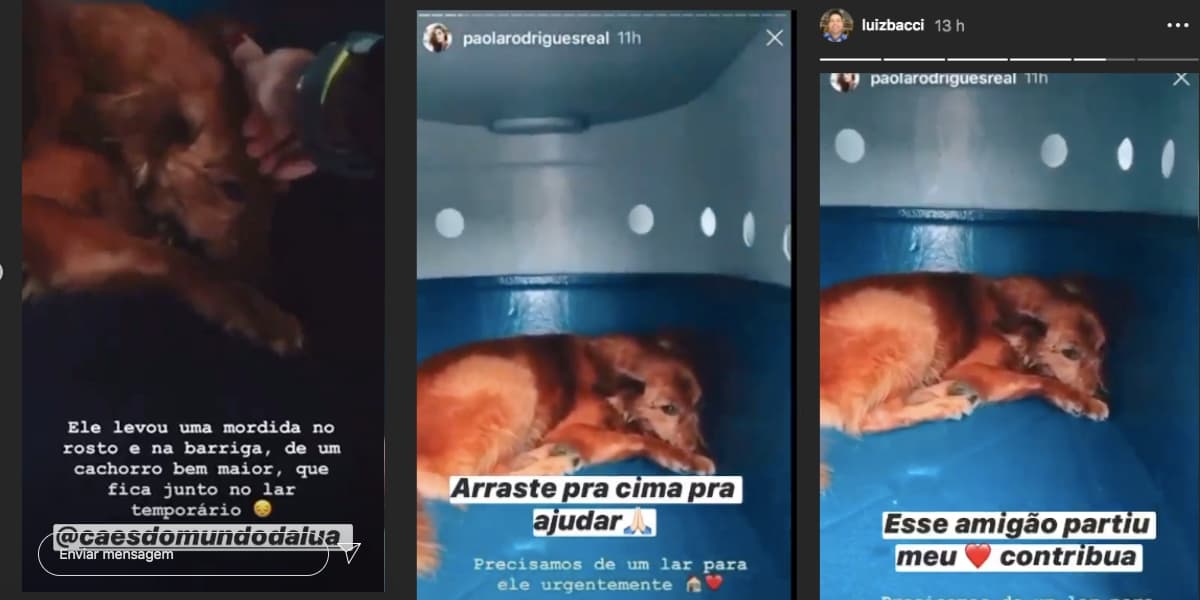 Luiz Bacci pediu a ajuda de seus seguidores (Foto: reprodução)