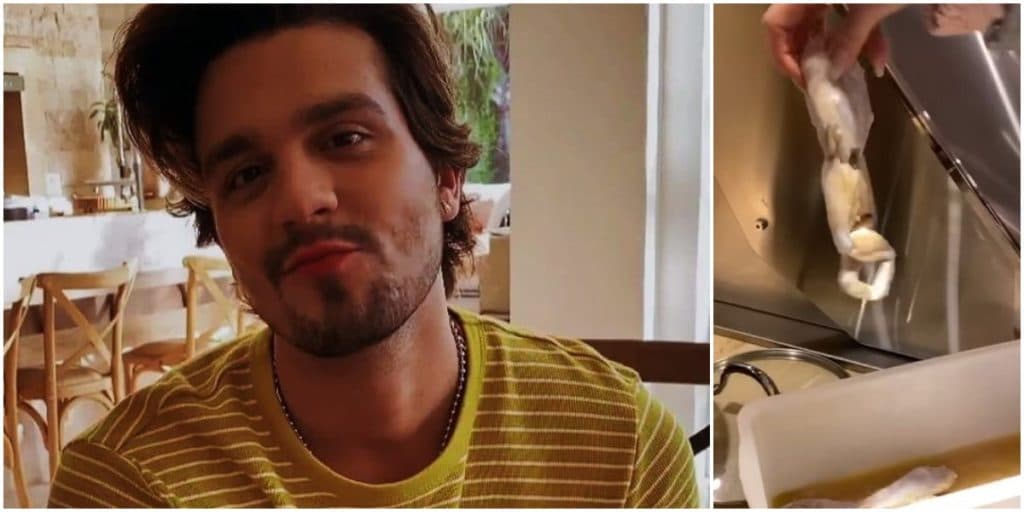 Luan Santana mostra jantar luxuoso em sua mansão, exibe prato principal com rãs e confissão escapa: "Nojo e medo''