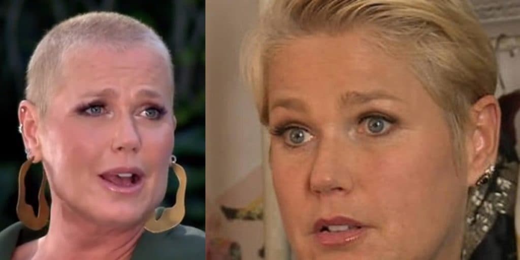 Xuxa arma barraco após anunciar livro infantil gay, é detonada com muito ódio e parte para briga: "Deve explicação"