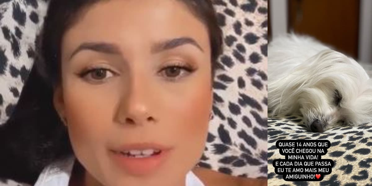 Paula Fernandes se derreteu por seu cachorrinho, chamado Flockinho (Foto: Reprodução/Instagram) Paula Fernandes se derreteu por seu cachorrinho, chamado Flockinho (Foto: Reprodução/Instagram)