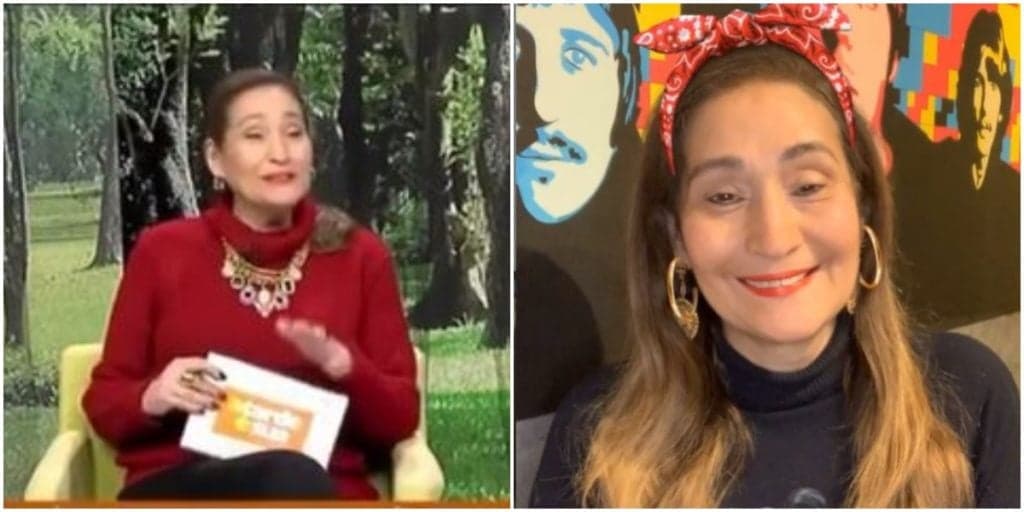Sonia Abrão é exposta em casa, público fica incrédulo com o que vê e jornalista chuta tudo com bomba: "Não duvide"