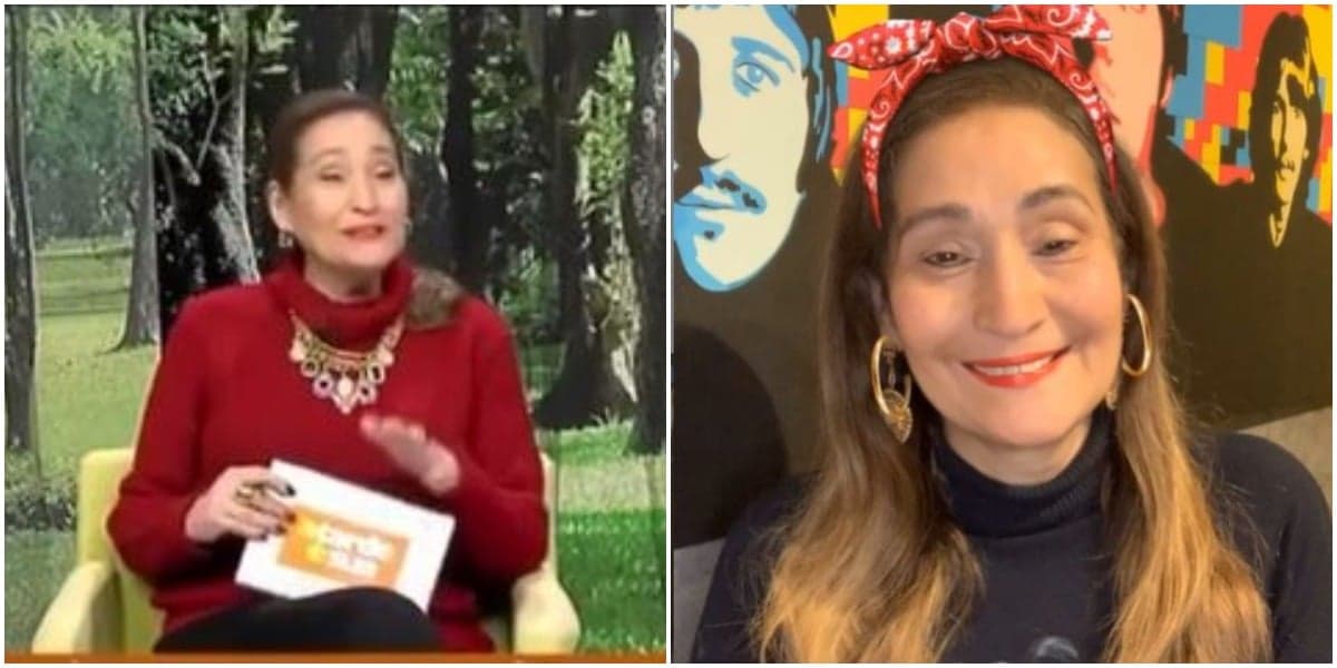 Sônia Abrão falou sobre faxina e espantou (Foto: Reprodução) Sônia Abrão falou sobre faxina e espantou (Foto: Reprodução)