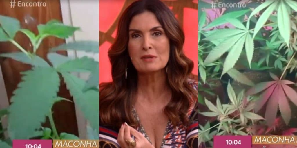 Fátima Bernardes defende maconha ao vivo, mostra droga para todos e soca a Globo após escândalo: "Porta do inferno"