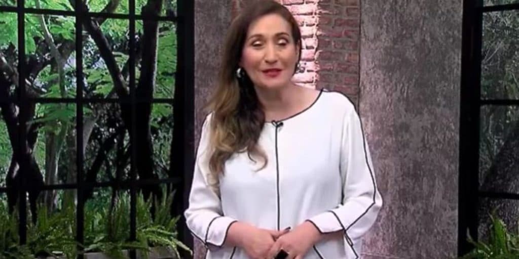 Sonia Abrão se depara com demissão de Boris Casoy da RedeTV e manda na lata: "Coragem"