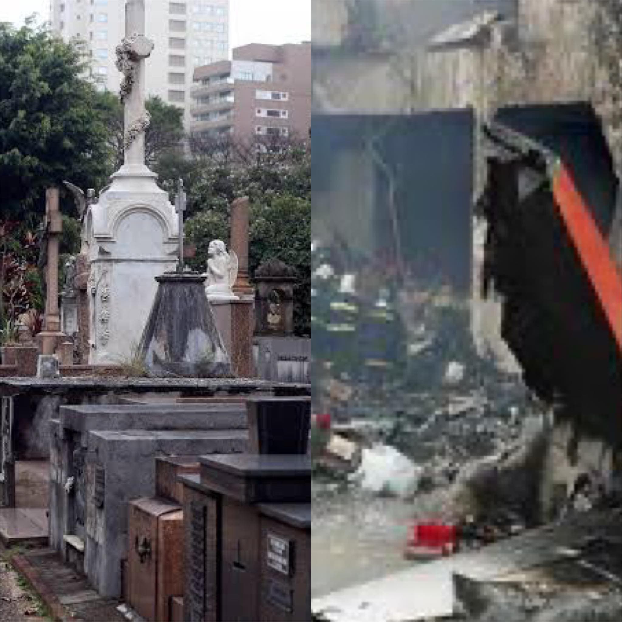 Sensitiva faz previsão sobre morte de comunicador rico após decretar queda de avião (Reprodução)