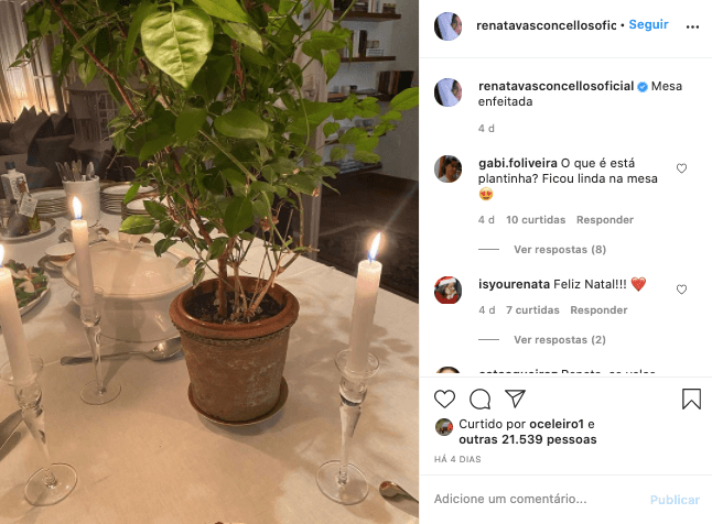 Renata Vasconcellos é questionada sobre planta em cima da mesa nas redes sociais (Reprodução: Instagram)