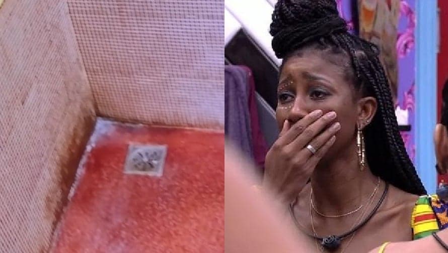 "Usando sabonete no rabo e depois eu passo no rosto": Sujeira nojenta no BBB é chocante
