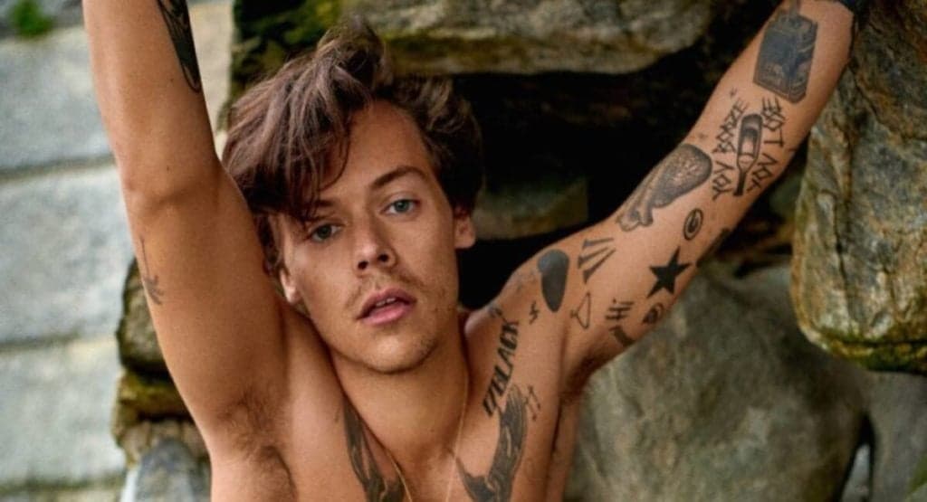 Após integrante dizer que tem o maior pênis, Harry Styles tem nu frontal em filme com outro rapaz