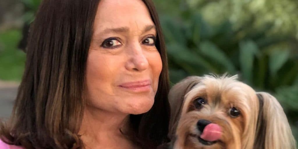 Susana Vieira crava prazo cruel após confirmar câncer sem cura e não esconde mais: “Dois ou três anos”