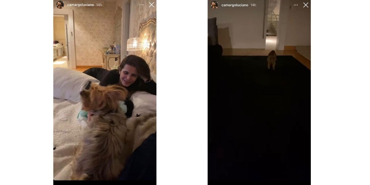 Luciano Camargo tem flagra da esposa com outro na cama, vê ele fugir e explode em desfecho: "Um sem vergonha" Luciano Camargo tem flagra da esposa com outro na cama, vê ele fugir e explode em desfecho: "Um sem vergonha"