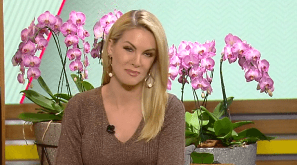 Ana Hickmann