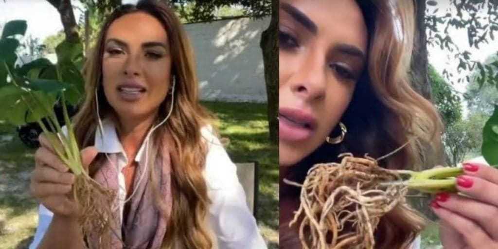 Nicole Bahls rebate memes após cuidar de planta de plástico: "Fui sonsa mesmo"