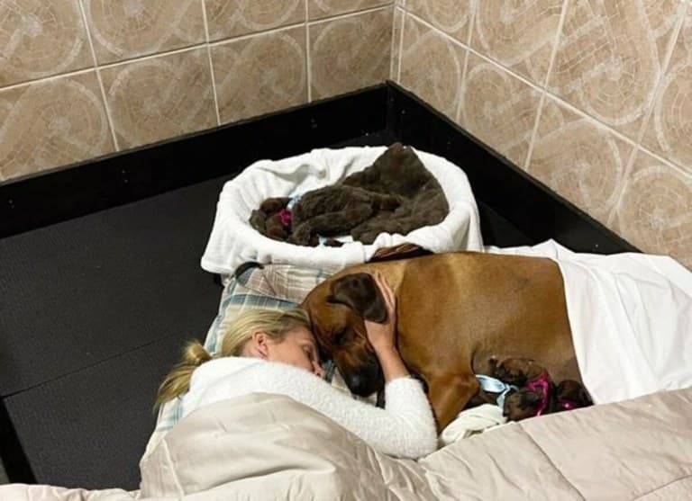 Ana Hickmann ao lado da cachorra e seus filhotes - Reprodução