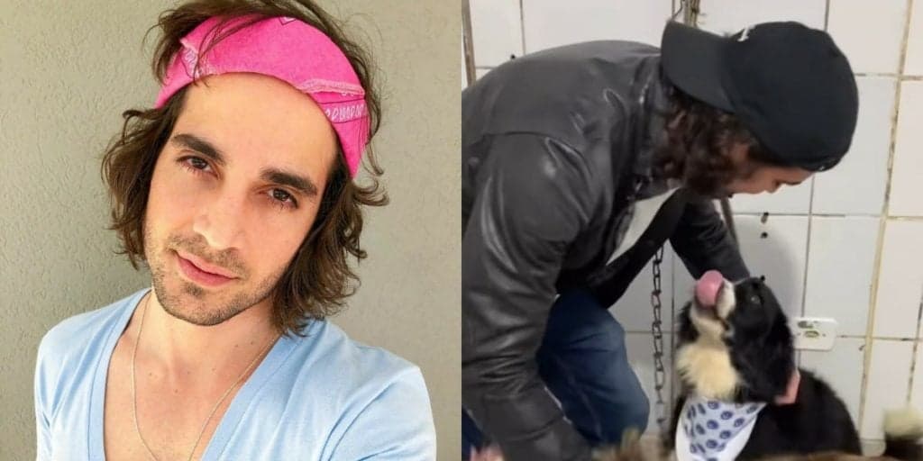 Fiuk busca cães em abrigo após polêmica de abandono e filma tudo: "De volta pra casa"