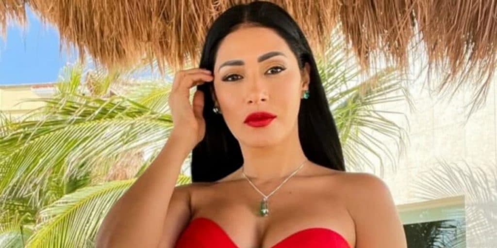 Simaria enfia calcinha molhadinha no talo e mostra o que não deve em peça transparente: "Delícia"