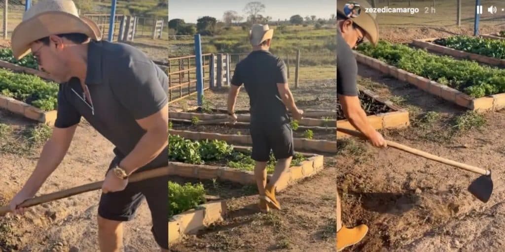 Zezé di Camargo foi flagrado por Graciele Lacerda em momento íntimo pegando firme no pau da enxada durante capinagem em fazenda (Imagem: Montagem) Zezé di Camargo foi flagrado por Graciele Lacerda em momento íntimo pegando firme no pau da enxada durante capinagem em fazenda (Imagem: Montagem)