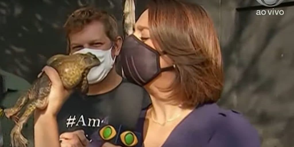 Catia Fonseca foge dos estúdios da Band e é flagrada tentando beijar sapo diante das câmeras: "Que delícia"