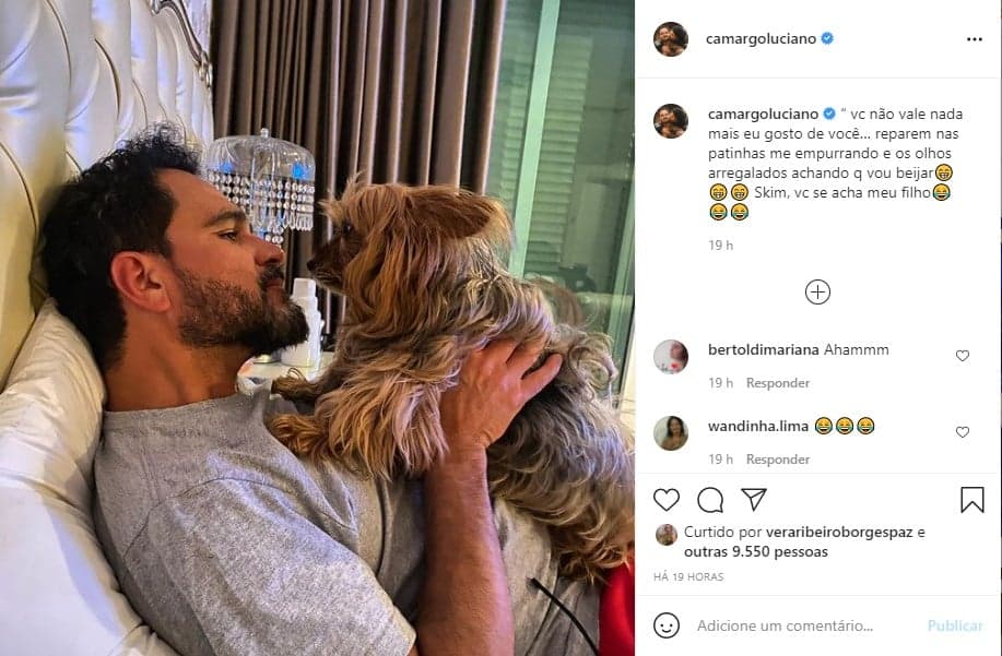 Luciano Camargo surge ao com cachorrinha de estimação e se declara (Foto: Reprodução) Luciano Camargo surge ao com cachorrinha de estimação e se declara (Foto: Reprodução)