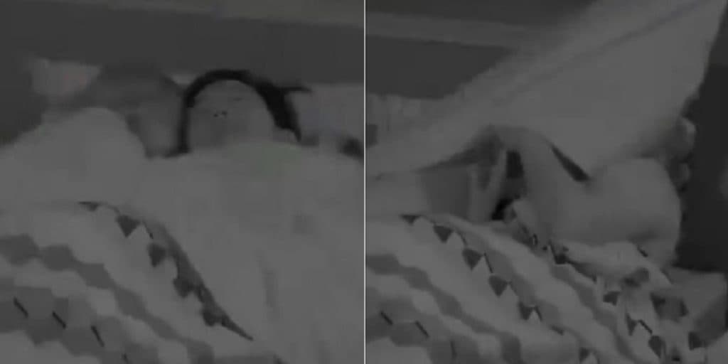 Acusado de trair a esposa em reality, Record exibe imagens de Pyong Lee com outra em edredom: "Na cama"