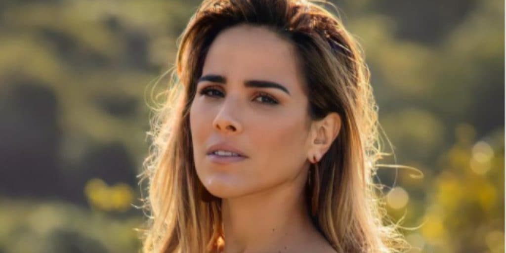 Após separação dolorosa, Wanessa Camargo expõe desfecho final e faz agradecimento para marido