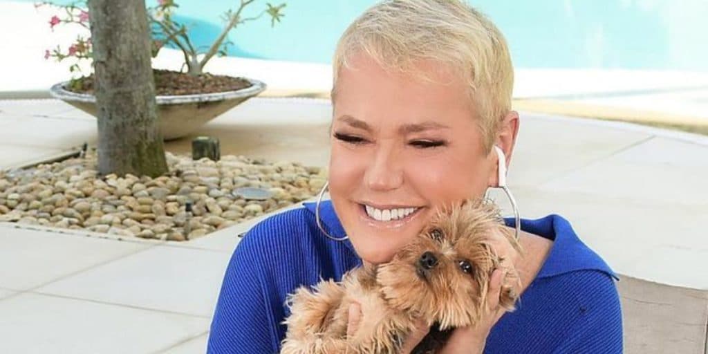 Xuxa fecha com emissora, é retaliada por programa de gays e esculacha ao ser detonada: "Torceram o nariz"