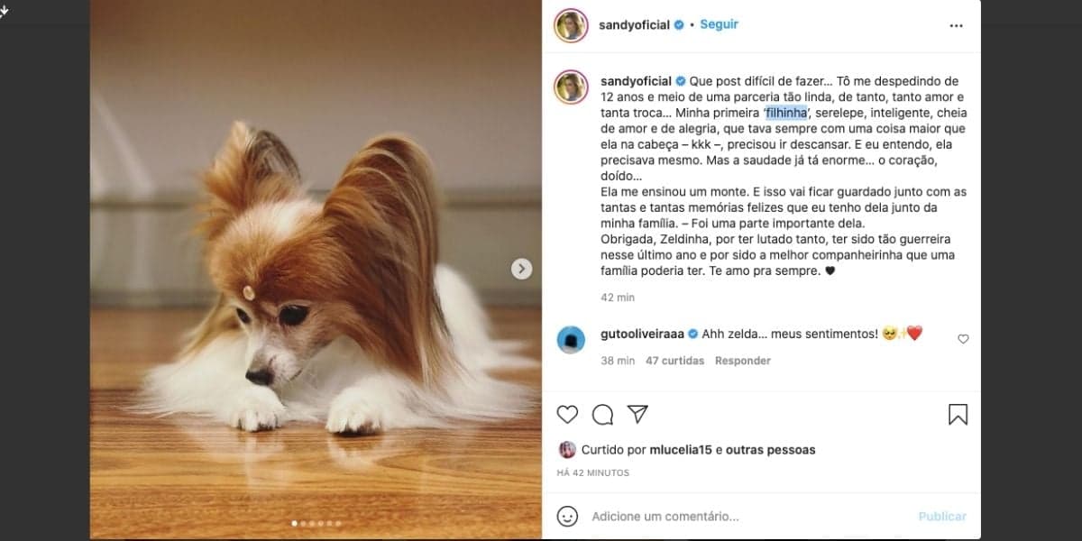 Sandy fala sobre morte de "filinha" (Reprodução) Sandy fala sobre morte de "filinha" (Reprodução)