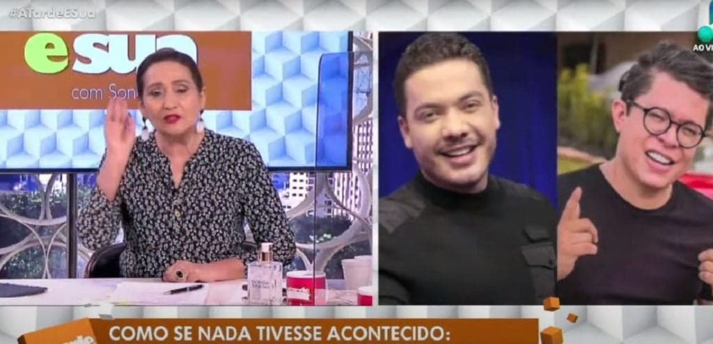 "Coitadinho que espanca mulher", Sônia Abrão solta os cachorros em DJ Ivis e detona Safadão aos gritos: "Deprimente"