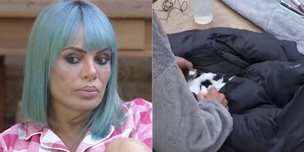 A Fazenda 13: Valentina esconde prova de "crime" de Dayane Mello contra Rico