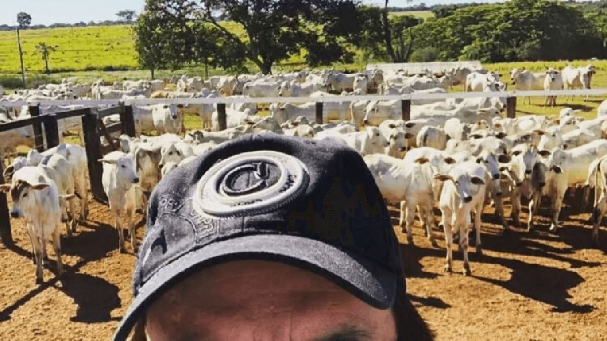 Animais da Fazenda de Chitãozinho (Foto: Divulgação) Animais da Fazenda de Chitãozinho (Foto: Divulgação)